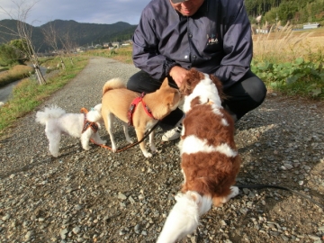 おにむこ