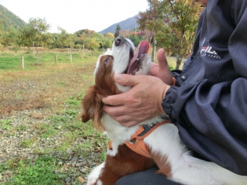 でろんでろん