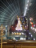 071117_2001~0002.jpg