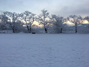 雪2