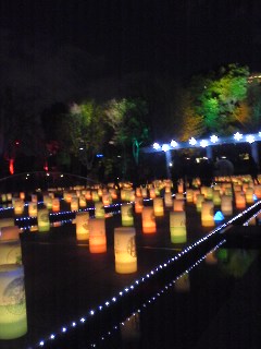 081221_1922~02.jpg