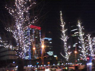081221_1823~02_0001.jpg