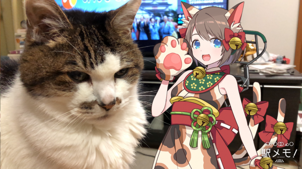 猫又みなもと