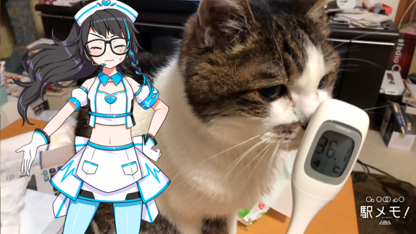 はかりと猫と乱雑な部屋