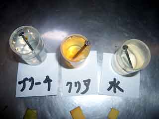 塩素酸水の実験07