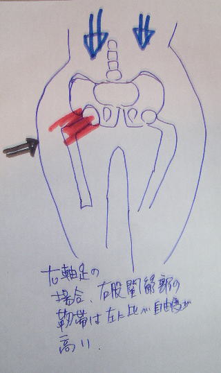 ¸Ô´ØÀá¥Ù¥ë¥È¡Ý£´