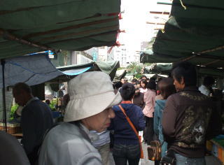 bosan-3