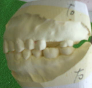 fugi-2