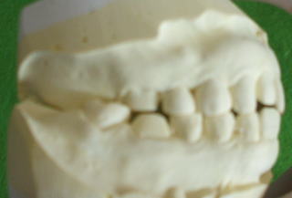 fugi-4