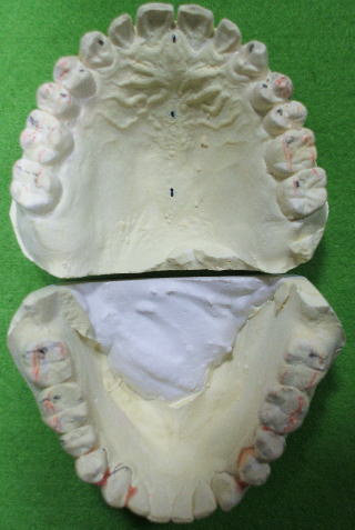 mori-1
