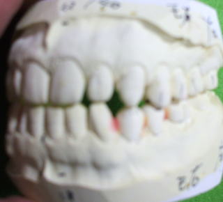 mori-5