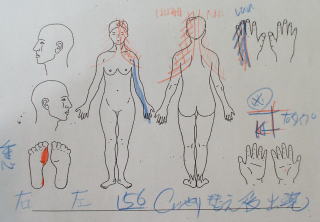 niya-8