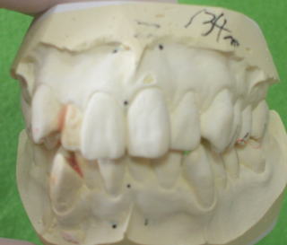miyake-3