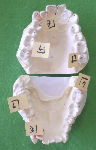 miyake-1