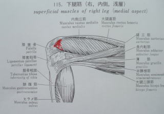 nathu-2