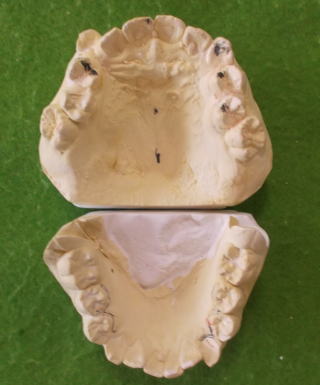 jiku-4