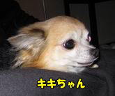 ¥Á¥ï¥ï¤Î¥¥¤Á¤ã¤ó¢ö