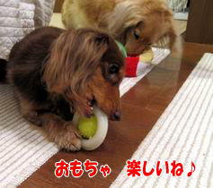 ¤ª¤â¤Á¤ãÂç¹¥¤¡ù