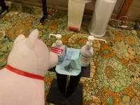 コロナ