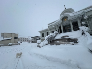 雪丸