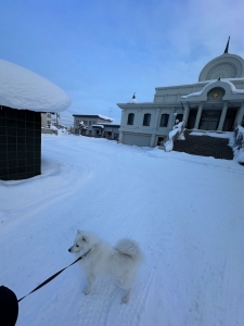 雪丸