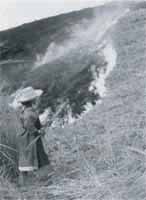 気まぐれ26号 野焼きの誘惑