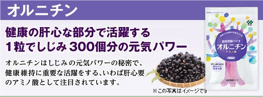 協和発酵バイオオルニチン口コミ効果は本当 しじみサプリで寝起きもすっきり 協和発酵バイオオルニチン口コミ効果５００円 注文窓口