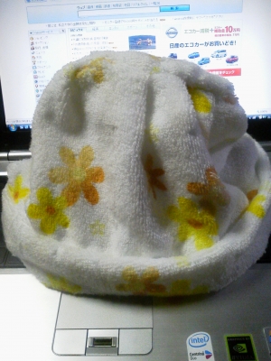 2012022321170000.jpg