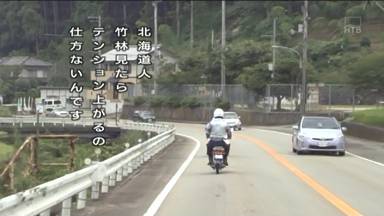 どうでしょう5.jpg