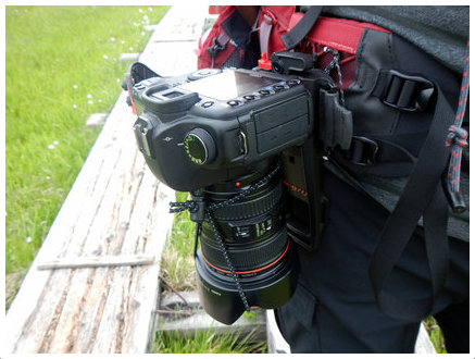 b-grip EVO Camera Belt Holder