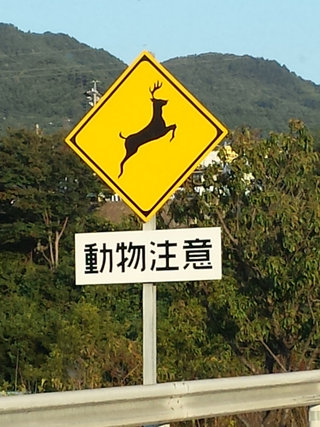 シカ注意の標識