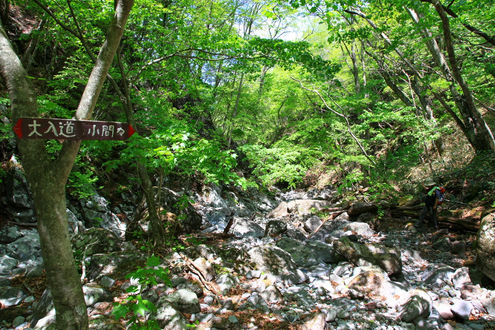 大入道から小間々台までの山道