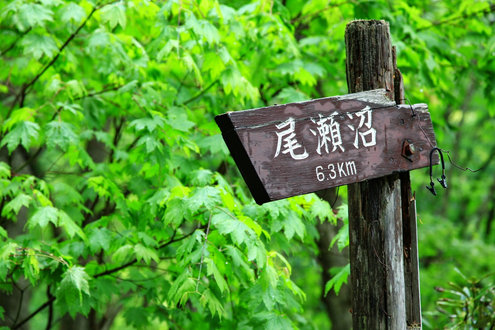 大清水駐車場付近