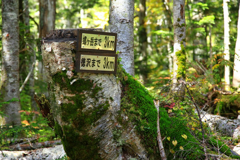 長塀尾根