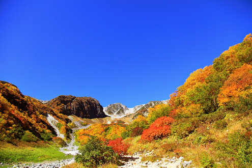 天狗原の分岐付近