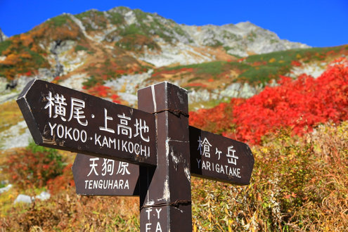 天狗原の分岐