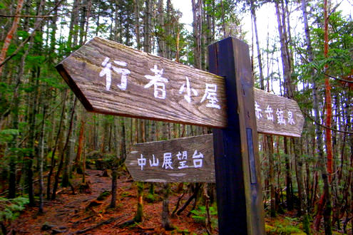 南八ヶ岳 南沢・北沢山歩 道標