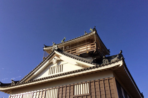 越前大野城