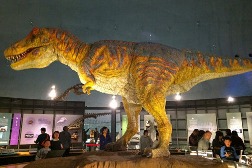 恐竜博物館