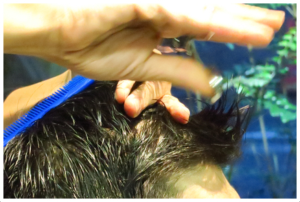 on hair dressing にて