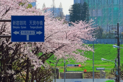 事務所近所の交差点