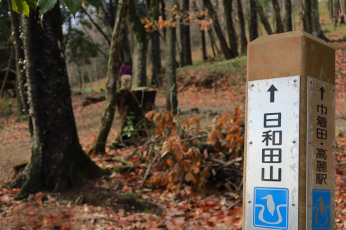 日和田山
