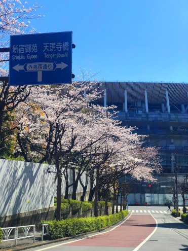 建築日和の近所