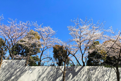 建築日和の近所
