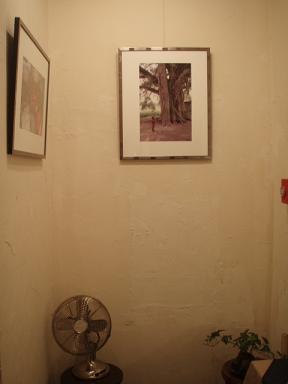 アニスル写真展
