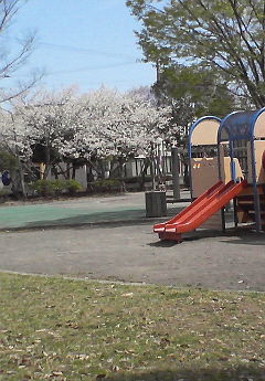 20070406_327567.jpg