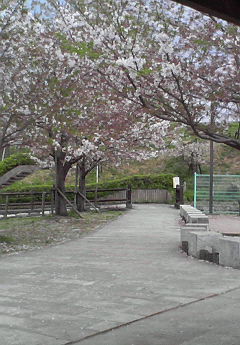 20070413_331329.jpg