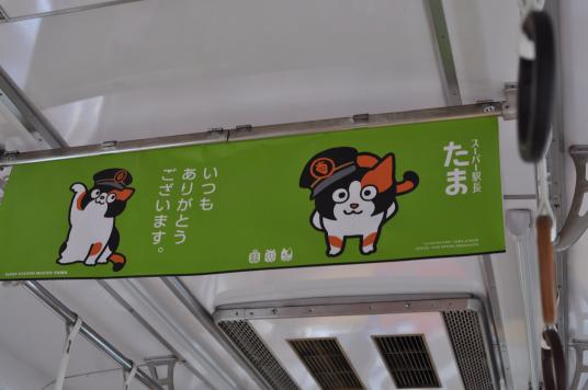 たま電車8