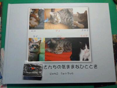 rps20120410_221317_484.jpg