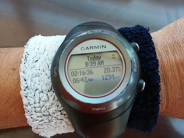 20150823_114124.jpg